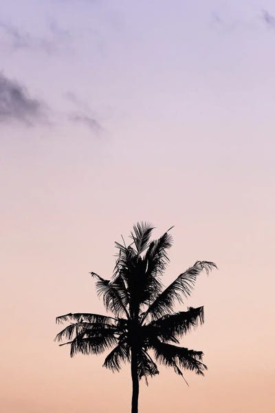 Minimalist Photography: Align by Hannah Prewitt