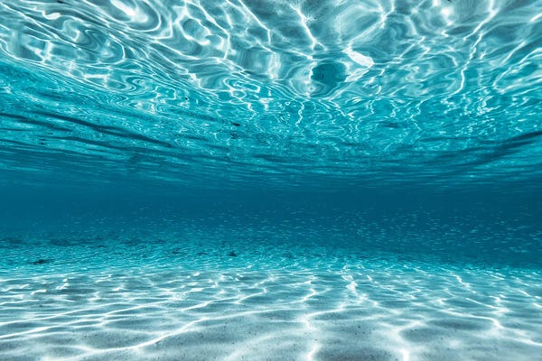 Minimalist Photography: Baitfish by Hannah Prewitt