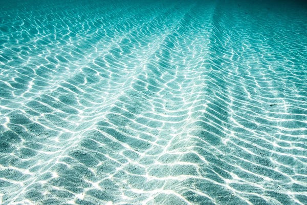 Ocean Blues: Complexity by Hannah Prewitt