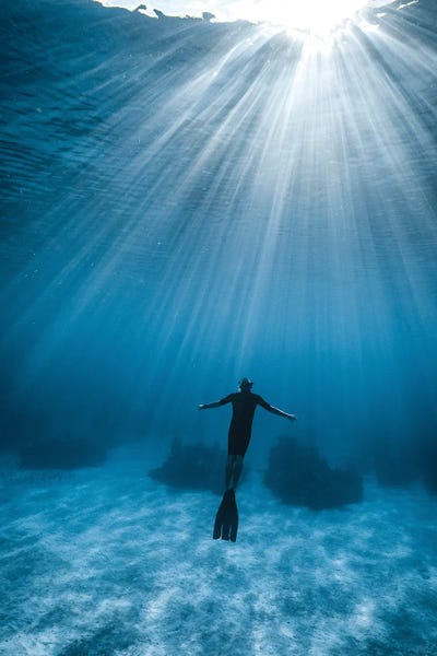 Ocean Blues: Free by Hannah Prewitt