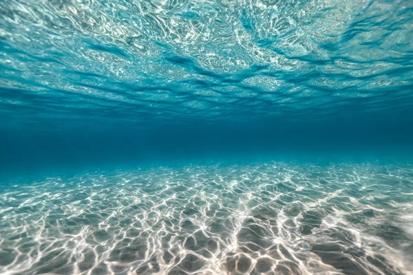 Large Photography - Canvas Prints: Gossamer by Hannah Prewitt