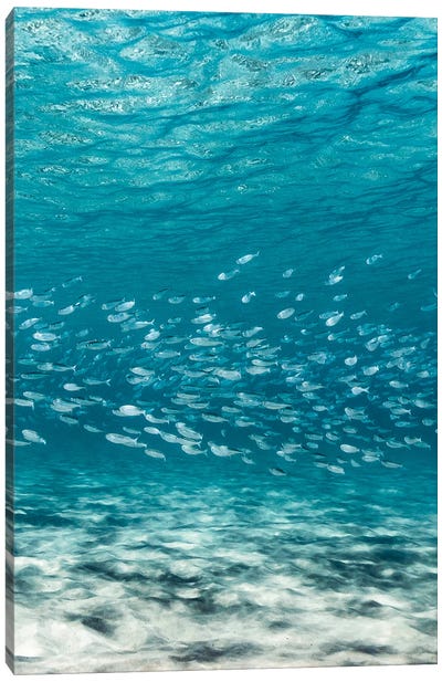 Layers Canvas Art Print - Ocean Blues