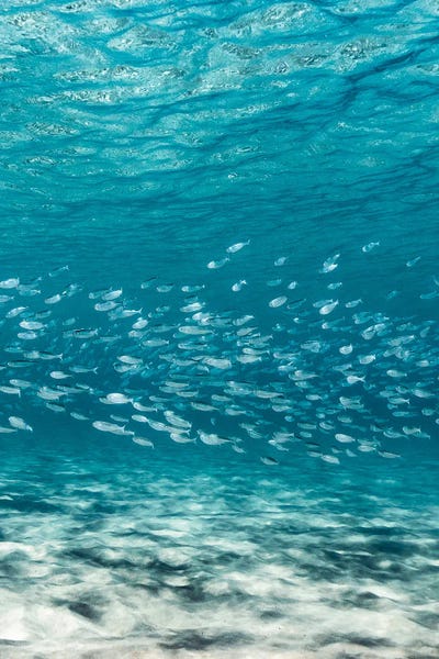 Ocean Blues: Layers by Hannah Prewitt