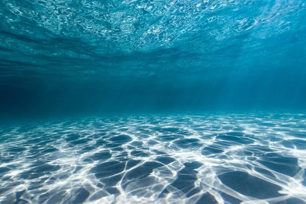 Large Photography - Canvas Prints: Mosaic by Hannah Prewitt