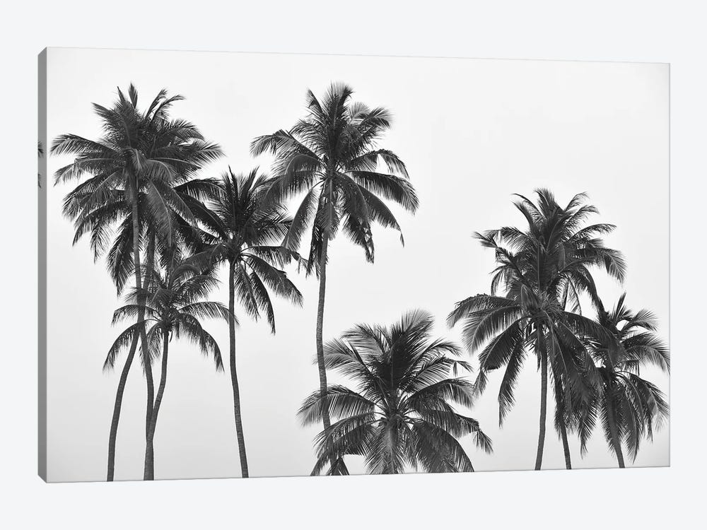 Palms by Hannah Prewitt 1-piece Canvas Art