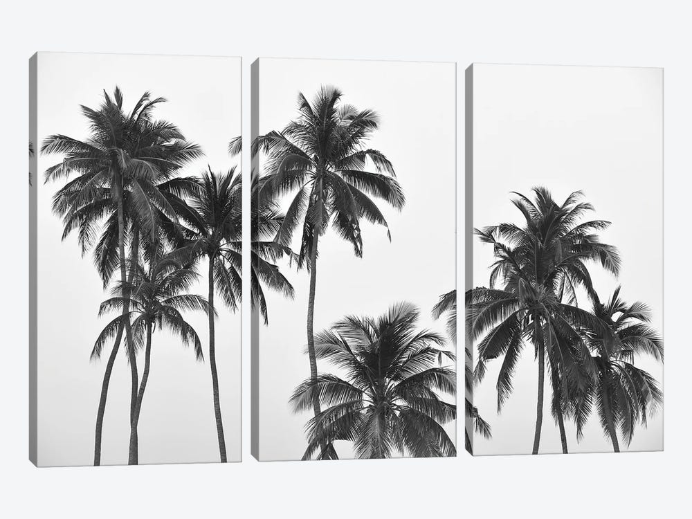 Palms by Hannah Prewitt 3-piece Canvas Art