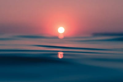 Roseate by Hannah Prewitt metal wall art