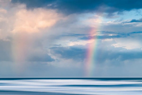 Large | 37"-48": Seeing Double by Hannah Prewitt