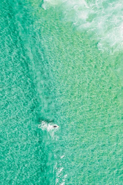 Monochromatic Photography: Sunshine Coast by Hannah Prewitt