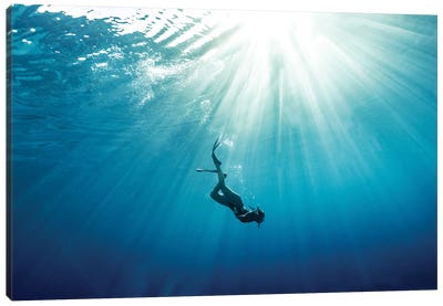 Bahamas Dive Canvas Art Print - Action Shot Photography