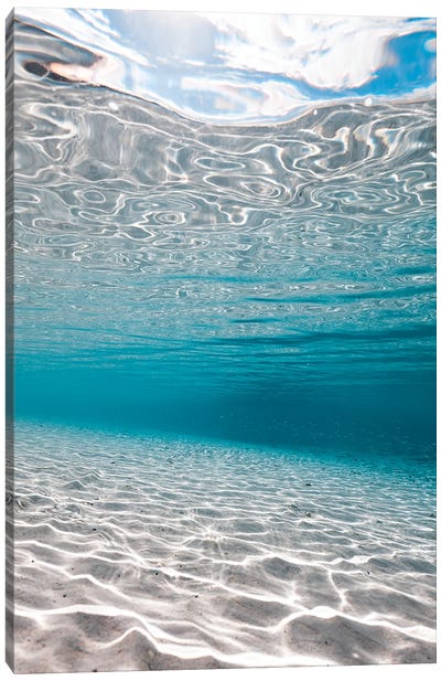 Through The Surface Canvas Art Print - Underwater Art