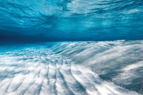 Minimalist Photography: Translucent by Hannah Prewitt