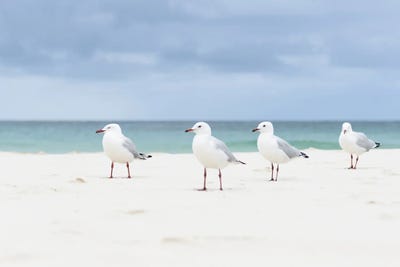 Queensland