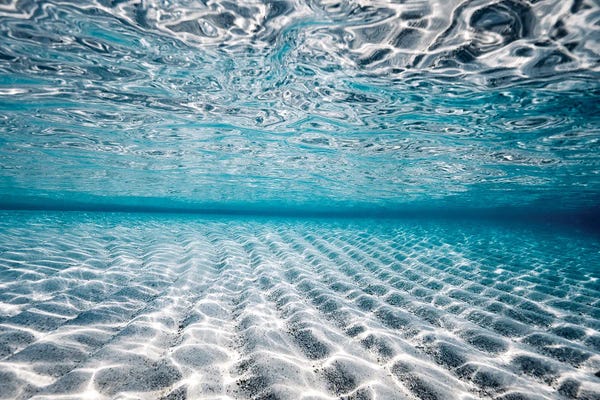 Hannah Prewitt: Reflections by Hannah Prewitt