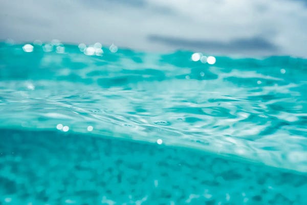 Hannah Prewitt: Ocean Dreams by Hannah Prewitt
