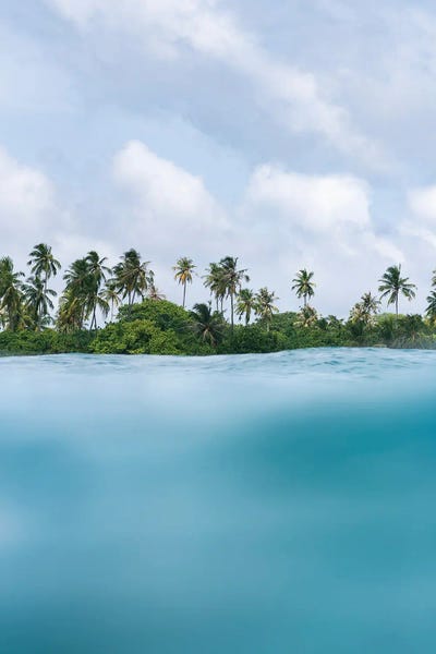 Fine Art Print: Tropical Views by Hannah Prewitt