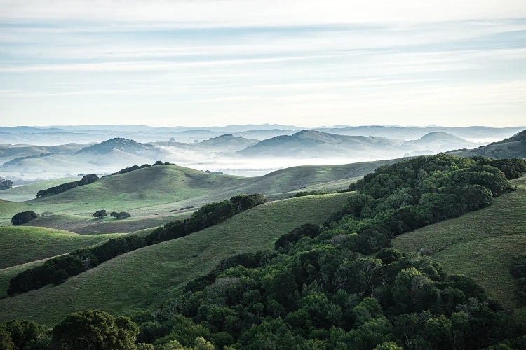 Petaluma Country