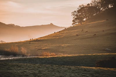 Firey Winter Morning by Heather Roberson gallery poster