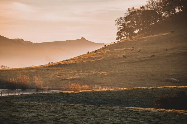 Heather Roberson: Firey Winter Morning by Heather Roberson