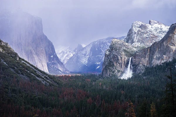 Heather Roberson: Yosemite Winter by Heather Roberson