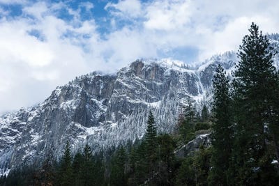 Winter Layers by Heather Roberson gallery poster