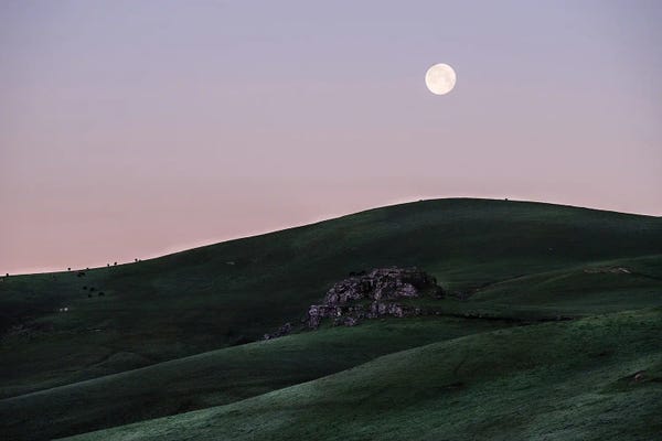 Heather Roberson: Full Moon At Dawn by Heather Roberson