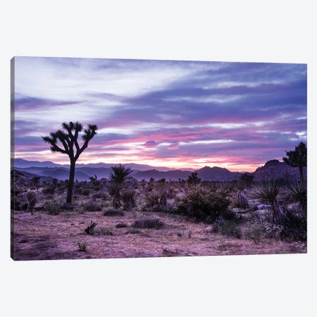 Sunset Spectacle Canvas Print #HRB25} by Heather Roberson Canvas Art Print