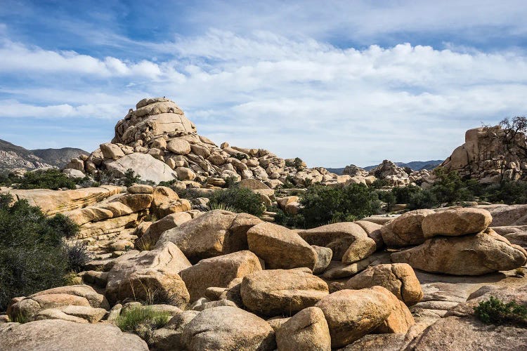 Rocky Vista by Heather Roberson wall art