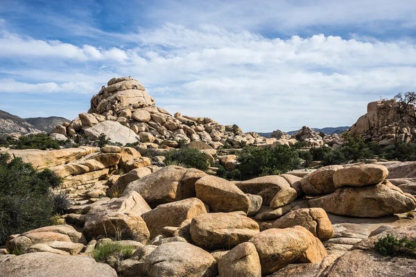Heather Roberson: Rocky Vista by Heather Roberson