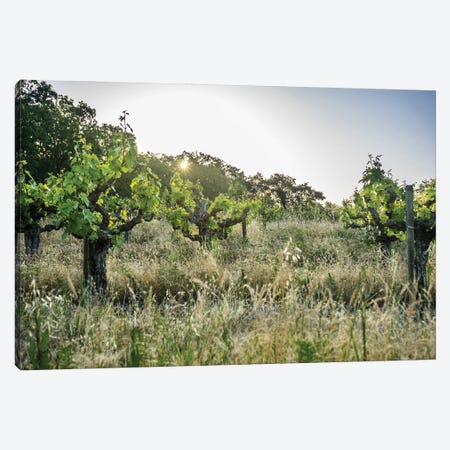 Spring Vines Canvas Print #HRB29} by Heather Roberson Canvas Artwork