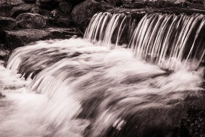 Rush by Heather Roberson canvas print