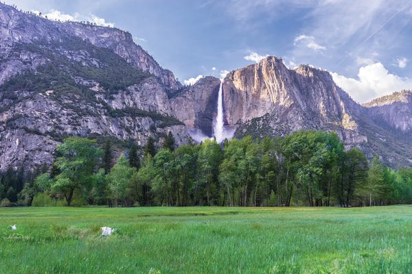 Heather Roberson: Spring Meadow by Heather Roberson