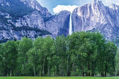 Meadow View by Heather Roberson gallery poster