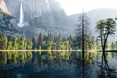 Spring Splendor by Heather Roberson gallery poster