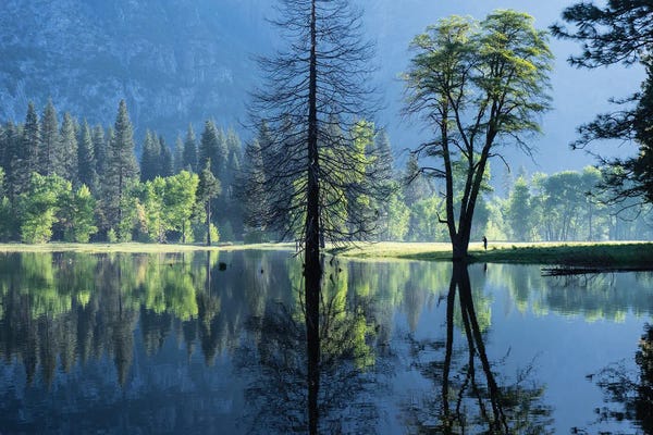 Heather Roberson: Morning Observer by Heather Roberson