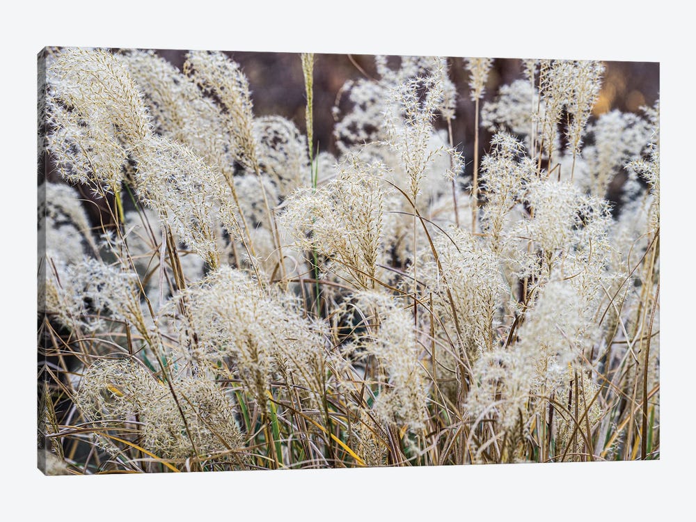 Spring Grasses by Heather Roberson 1-piece Art Print