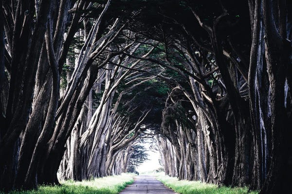 Heather Roberson: Light At The End by Heather Roberson