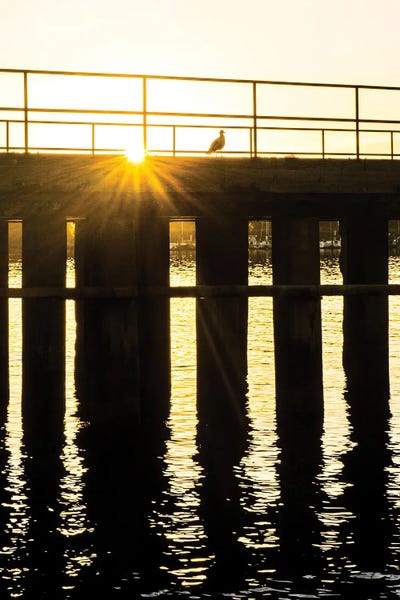 Heather Roberson: Piering Over by Heather Roberson