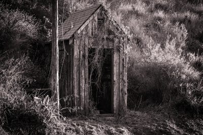 Antique Shed In Black And White by Heather Roberson gallery poster