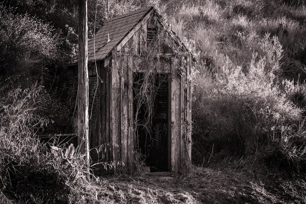Dereliction: Antique Shed In Black And White by Heather Roberson