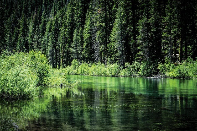 Along The Truckee River