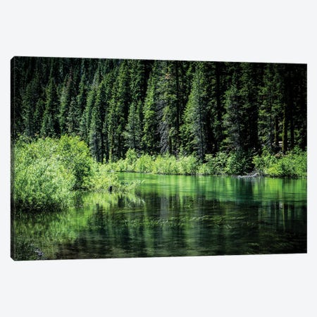 Along The Truckee River Canvas Print #HRB45} by Heather Roberson Canvas Print