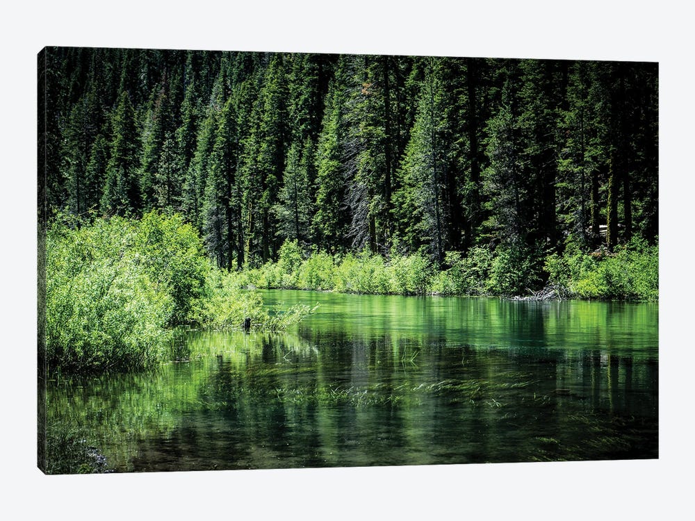 Along The Truckee River by Heather Roberson 1-piece Canvas Artwork