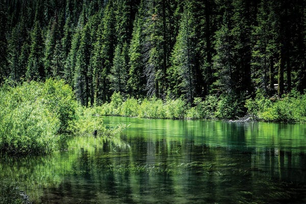Heather Roberson: Along The Truckee River by Heather Roberson