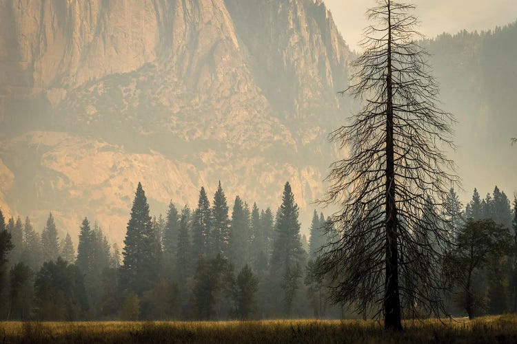 Smokey Haze In Yosemite