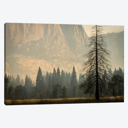 Smokey Haze In Yosemite Canvas Print #HRB47} by Heather Roberson Canvas Print