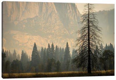 Smokey Haze In Yosemite Canvas Art Print