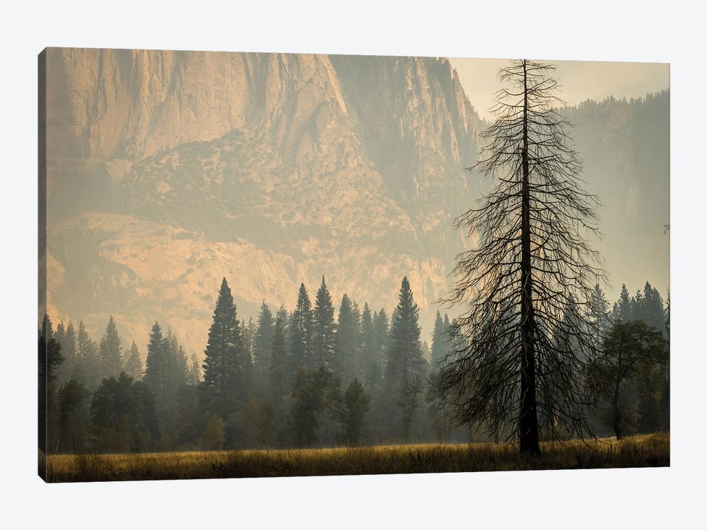Smokey Haze In Yosemite by Heather Roberson 1-piece Canvas Art