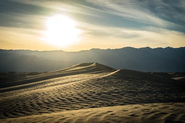 Heather Roberson: Mesquite Dunes by Heather Roberson