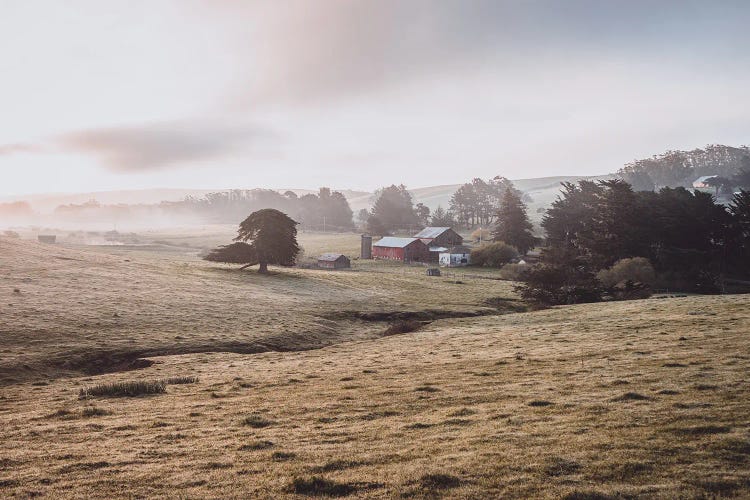 Sunrise On The Farm by Heather Roberson wall art